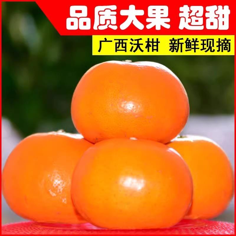 【果丫丫】正宗云南高原沃柑新鲜时令水果当季非广西武鸣现摘桔子橘