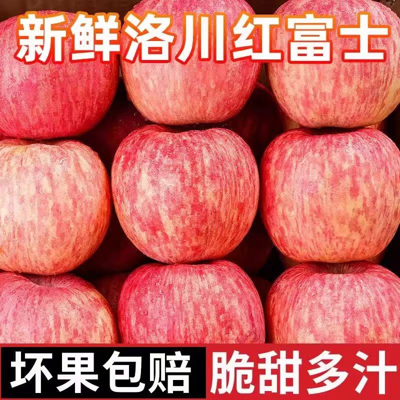 【果丫丫】【冰糖心苹果】新鲜红富士苹果高山丑苹果现摘新鲜苹果水果