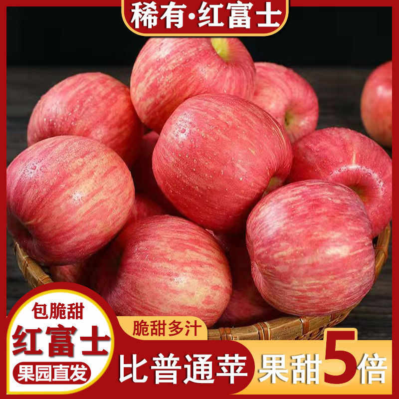 【果丫丫】正宗陕西洛川红富士苹果新鲜水果现摘现发红苹果产地直发