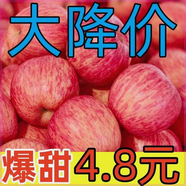 【果丫丫】【】正宗红富士苹果水果新鲜丑苹果冰糖心脆甜应季批发