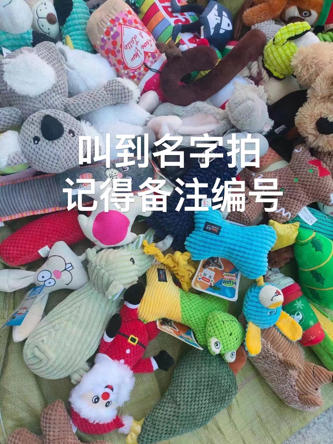 【直播专属】 宠物玩具加差价专拍链接，无编号或只拍此链接不发货