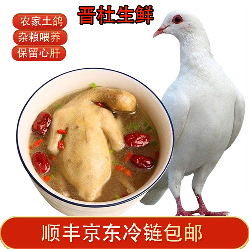 农家散养鸽子杂粮喂养新鲜现杀乳鸽土鸽子6-7两/只