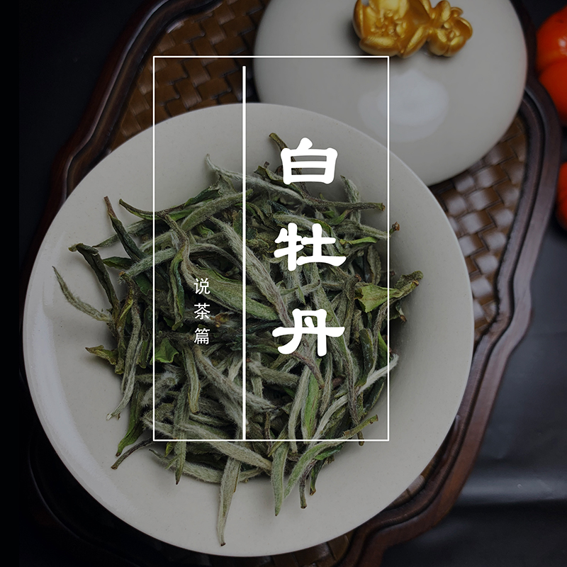 茶样品饮10克装【白牡丹】毫心肥壮白毫银针平替好茶品鉴甘甜好喝