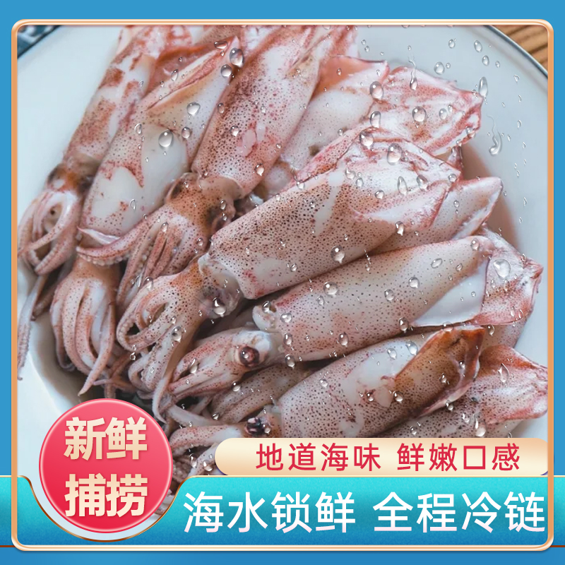 野生南海鲜冻鱿鱼夏日美食烧烤火锅海兔子小管鱿鱼3盒