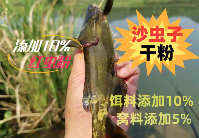 沙虫子孑孓蚊子幼虫红虫粉混合腥臭粉垂钓饵添加物黄辣丁鲶鱼沙沟