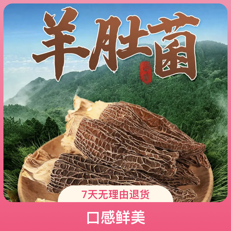 西藏羊肚菌肉质饱满高原特色去泥脚散装初级农产品煲汤美味干货