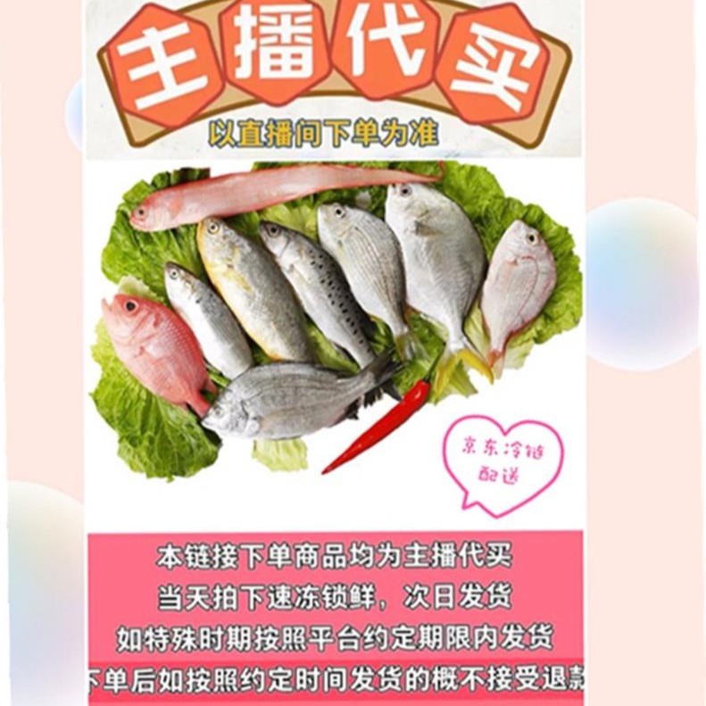 阳江渔民档 现场称 海鱼杂鱼1-5斤（直播间改价）拍下不支持退款