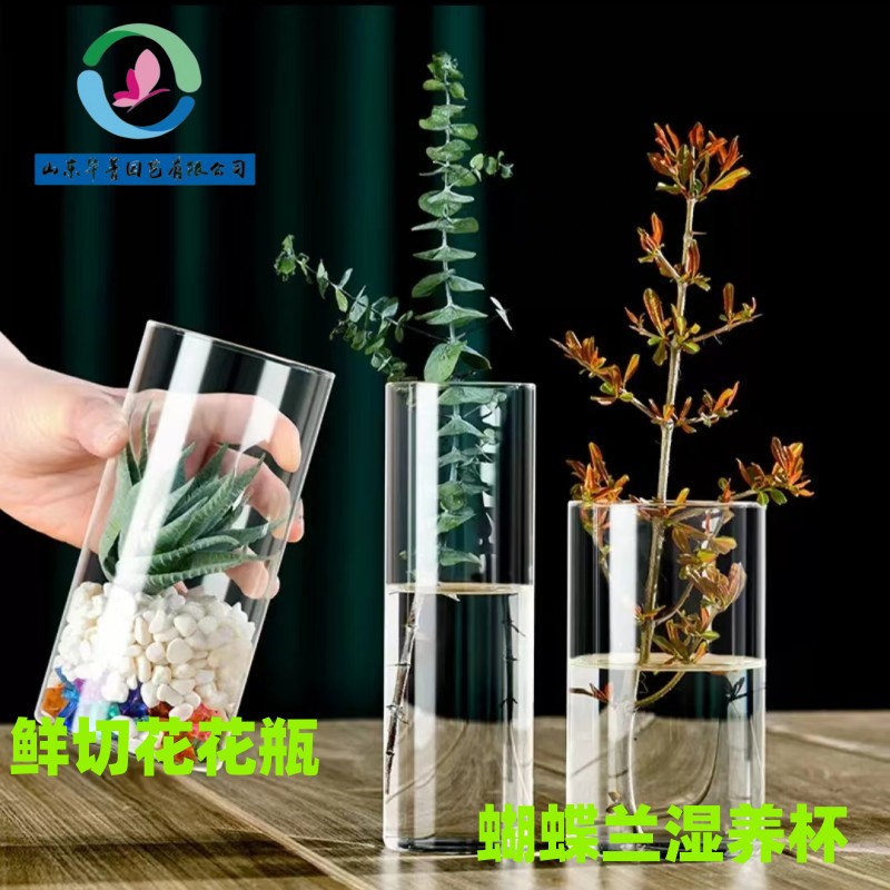 蝴蝶兰湿养瓶PET材质