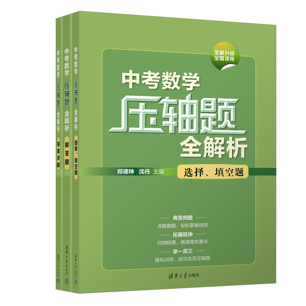 中考数学压轴题全解析