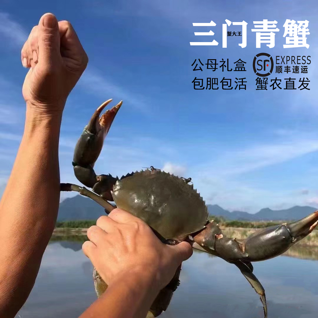 三门青蟹现称改价残蟹链接3（勿拍）鲜活捕捞螃蟹现抓现发包肥包活