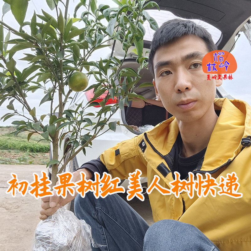 【一物一拍】果树苗