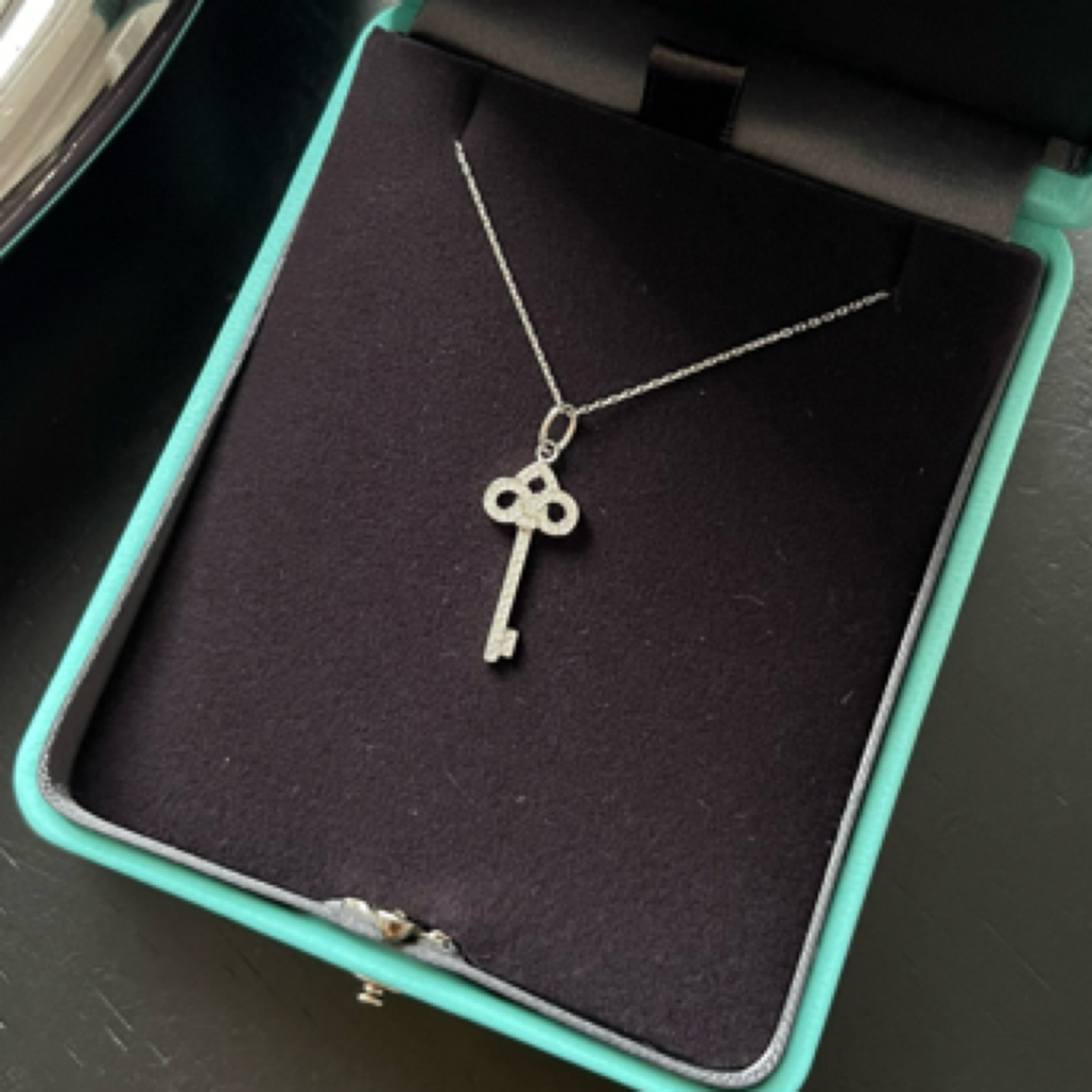 95新 Tiffany & Co./蒂芙尼 鸢尾花迷你满钻钥匙吊坠，后配链条