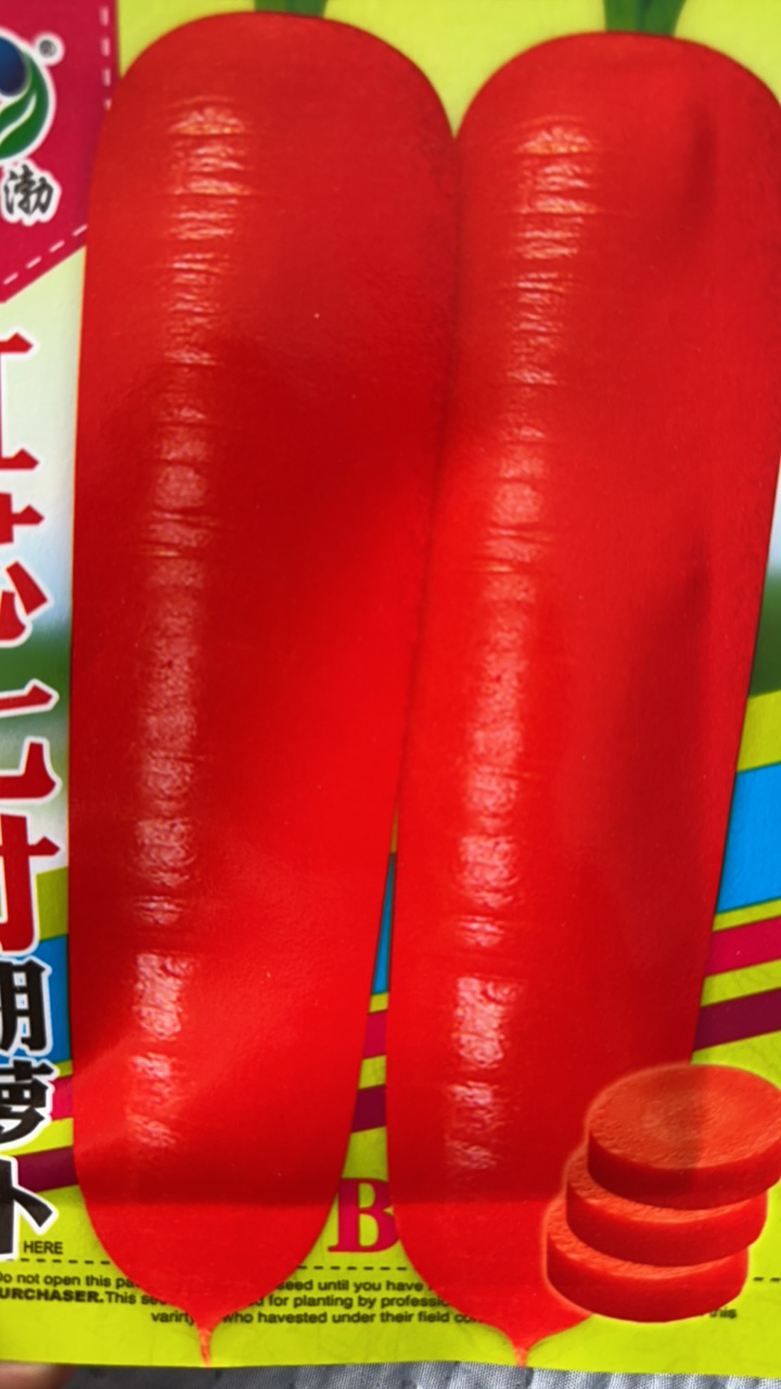 红芯七寸胡萝卜种子