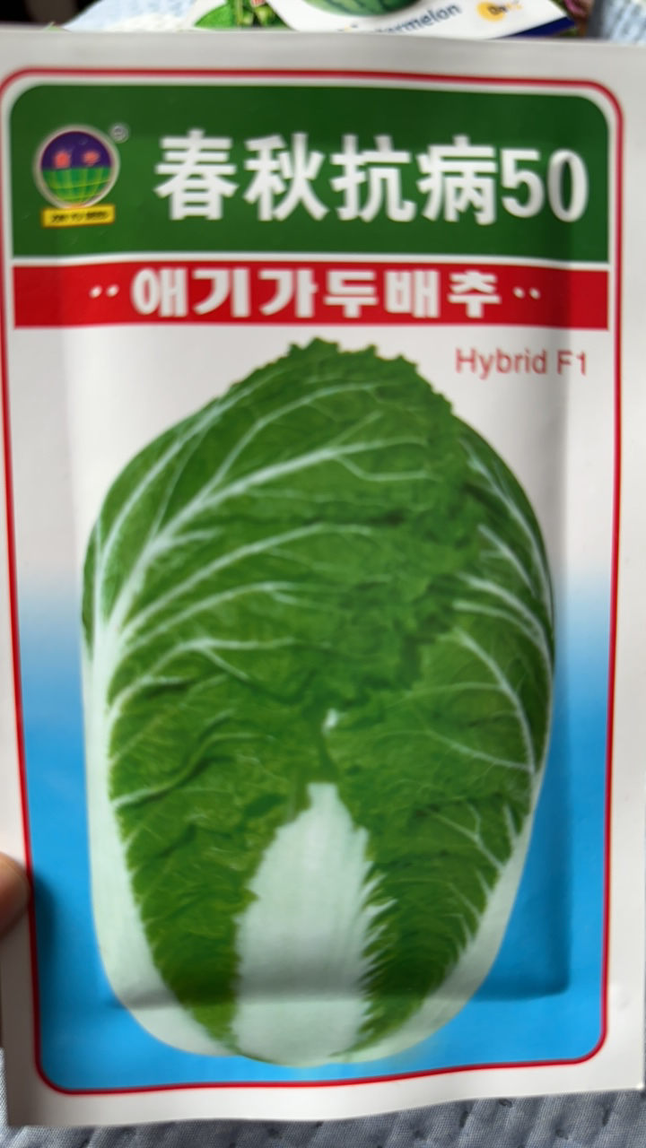 春秋50白菜籽10克