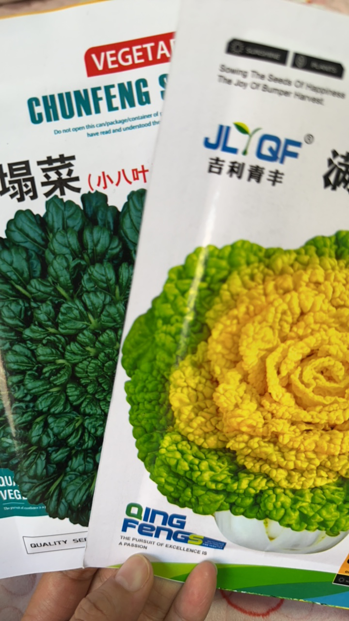 乌塌菜+黄金乌（各一袋）