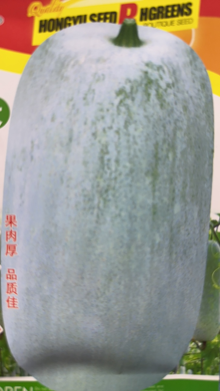 鑫宇粉皮冬瓜种子