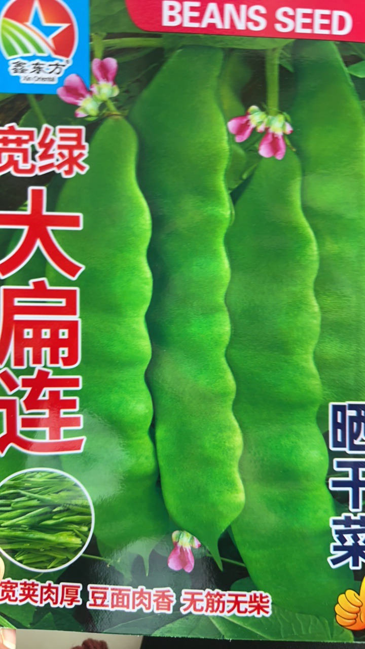 宽绿大扁连豆角种子