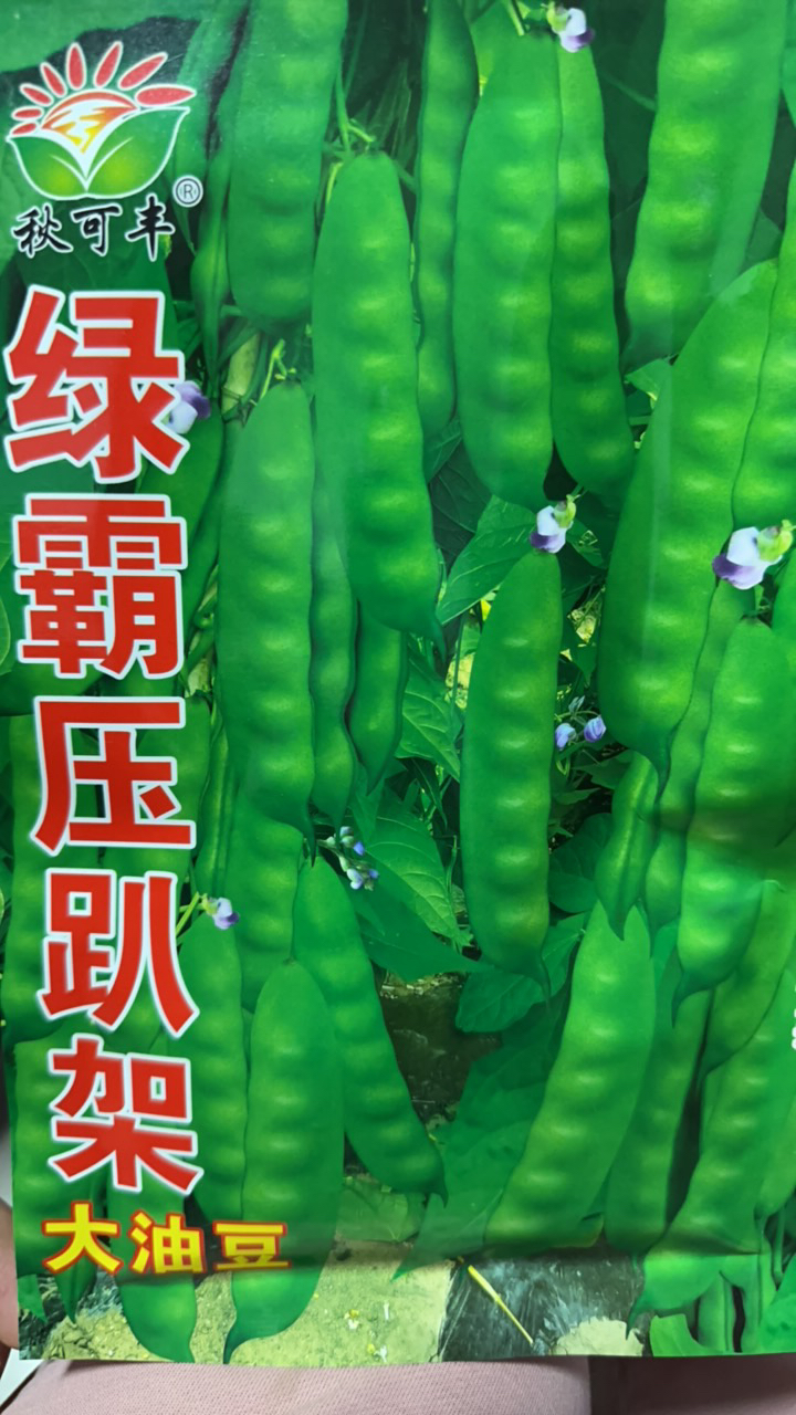 绿霸压趴架油豆角籽