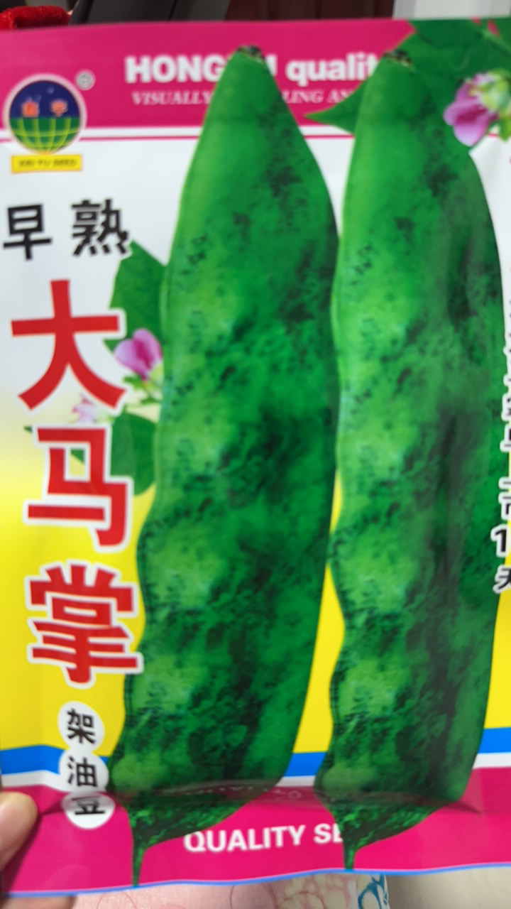 大马掌架油豆角（100克）