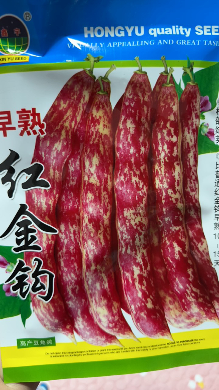 红金钩豆角籽春秋种植