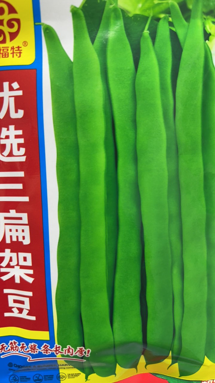 优选三扁架豆豆角种子