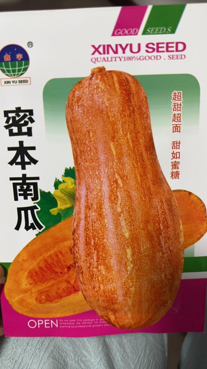 密本南瓜籽（20粒）