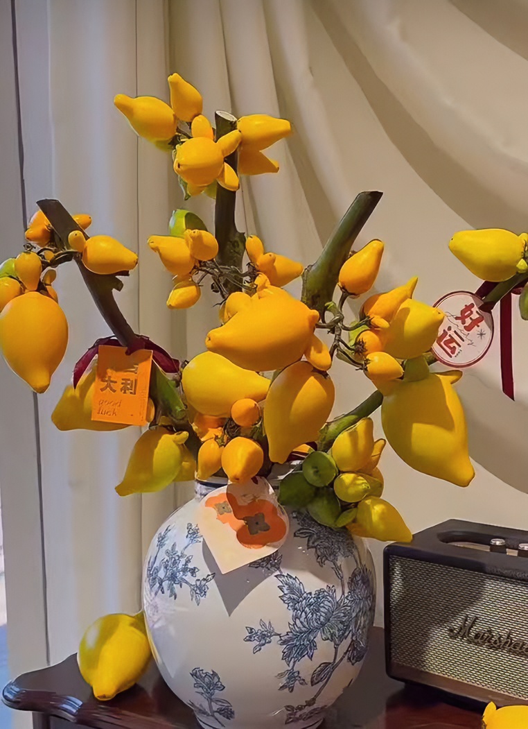 【中大果室内高端花材】云南鲜花五代同堂黄金果，云南鲜切花