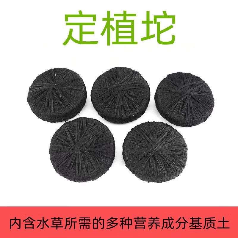 水草泥坨定植坨泥底坨定植基坨坨草