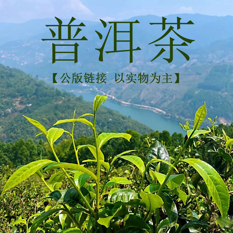 【公版链接12】通用链接 普洱茶 直播专用