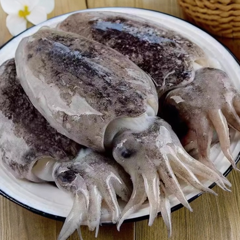 【每份4斤-乌鱼】又名墨鱼，纯野生的，各别有泥沙，冷冻发货，顺丰包邮