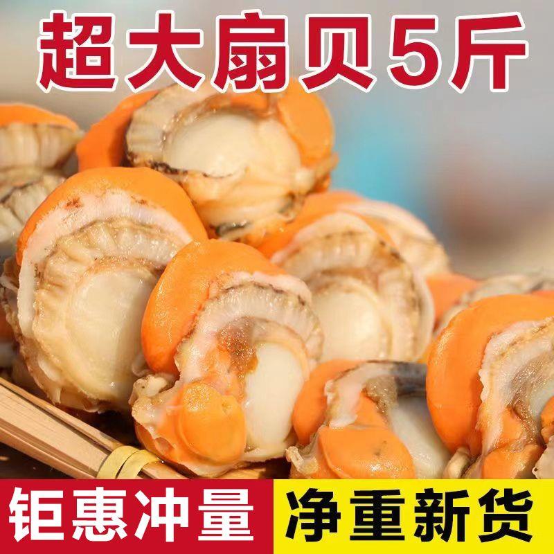 特大号【5斤扇贝肉】扇贝新鲜冷冻鲜活野生贝肉全贝整箱批半斤美味