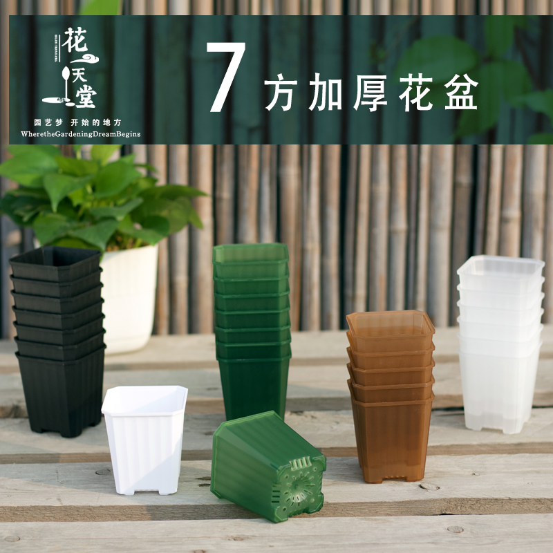 新品加厚多肉花盆塑料7方小口径花卉育苗播种幼儿园活动彩色花盆