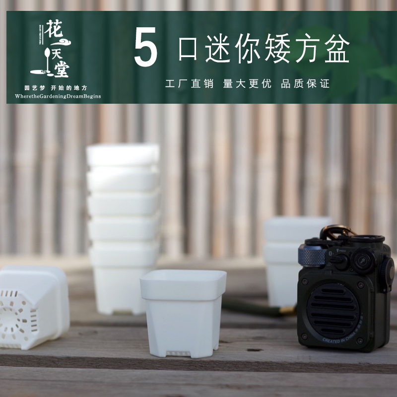 5口径特厚迷你多肉塑料方盆育苗种植阳台党精控肉肉花盆透气美观