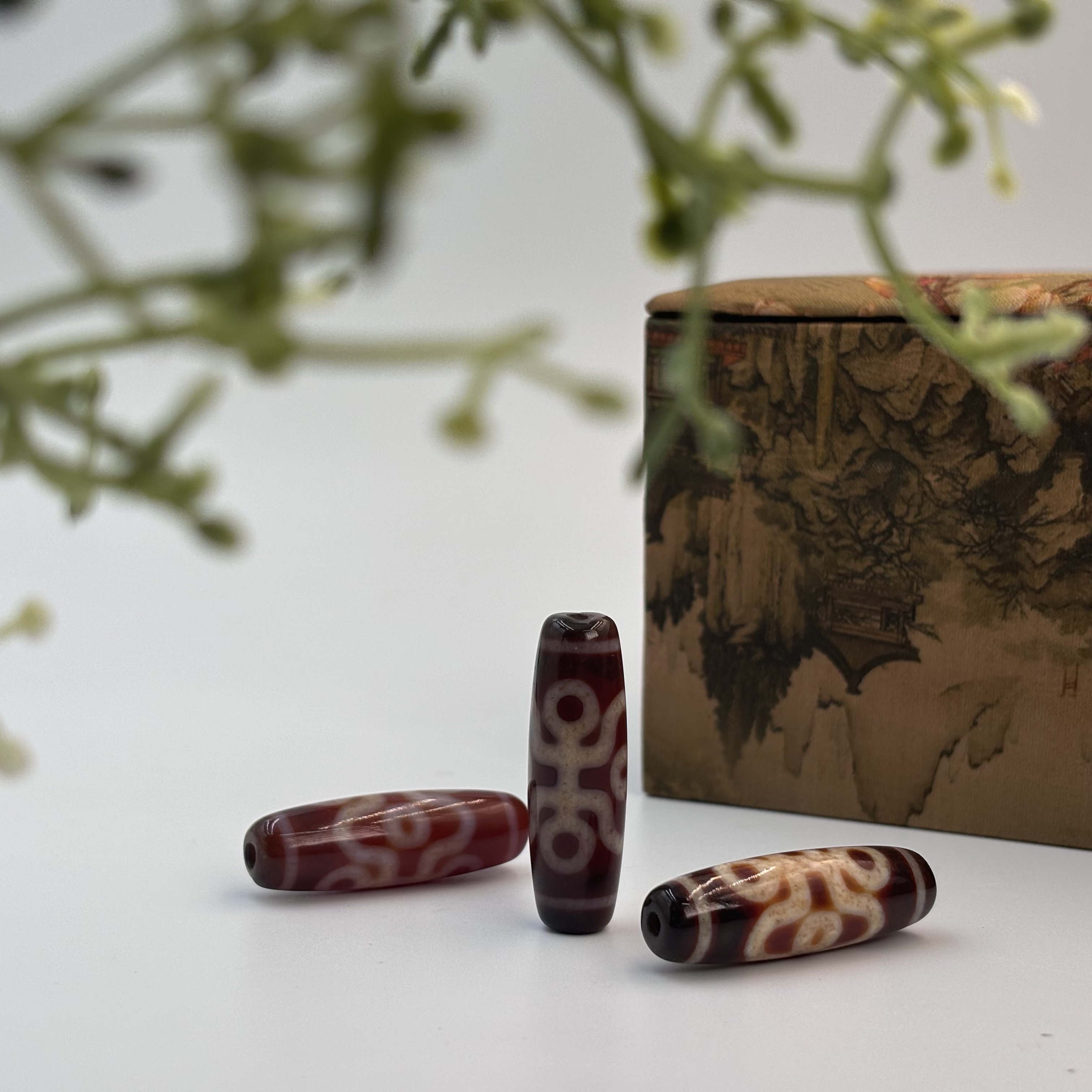 发一个【晟伊】S992红肉珠珠贵贵（多样性发一）