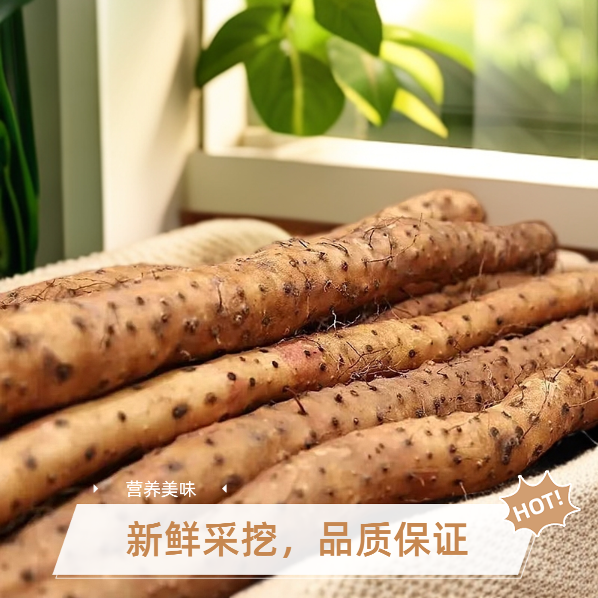 正宗温县垆土铁棍山药温县产地直发怀山药软糯山药正宗铁棍山药