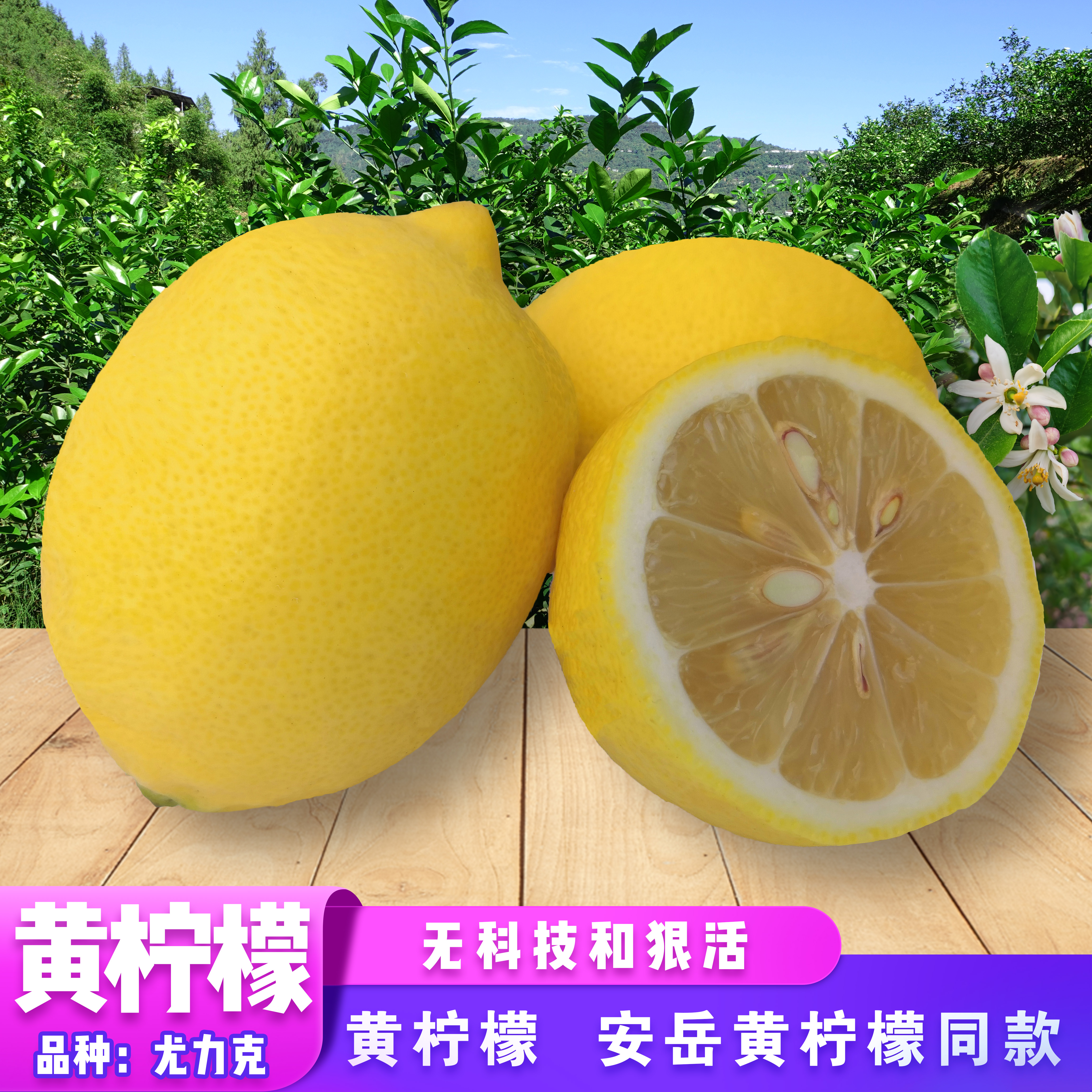 尤力克柠檬-常见安岳黄柠檬-现摘-不浸保鲜防腐药水-农家自种自销