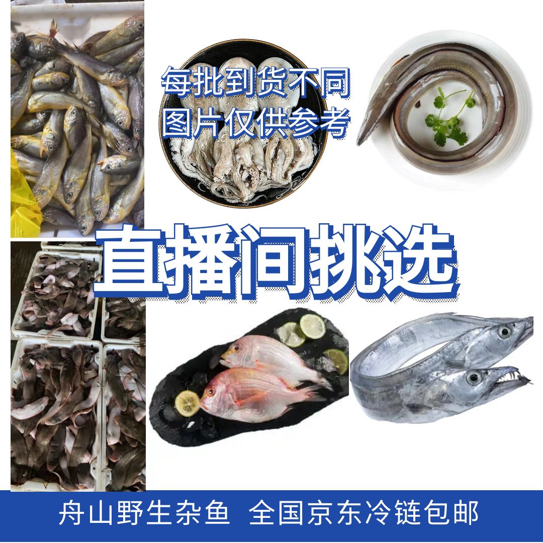 【6斤】东海舟山野生海鲜海杂鱼拼盘包邮梅子