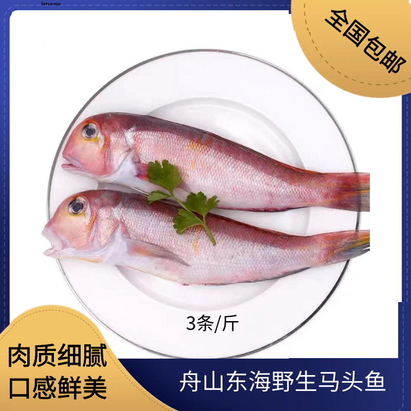 【2-3条/斤，5斤】舟山东海野生马头鱼码头直发