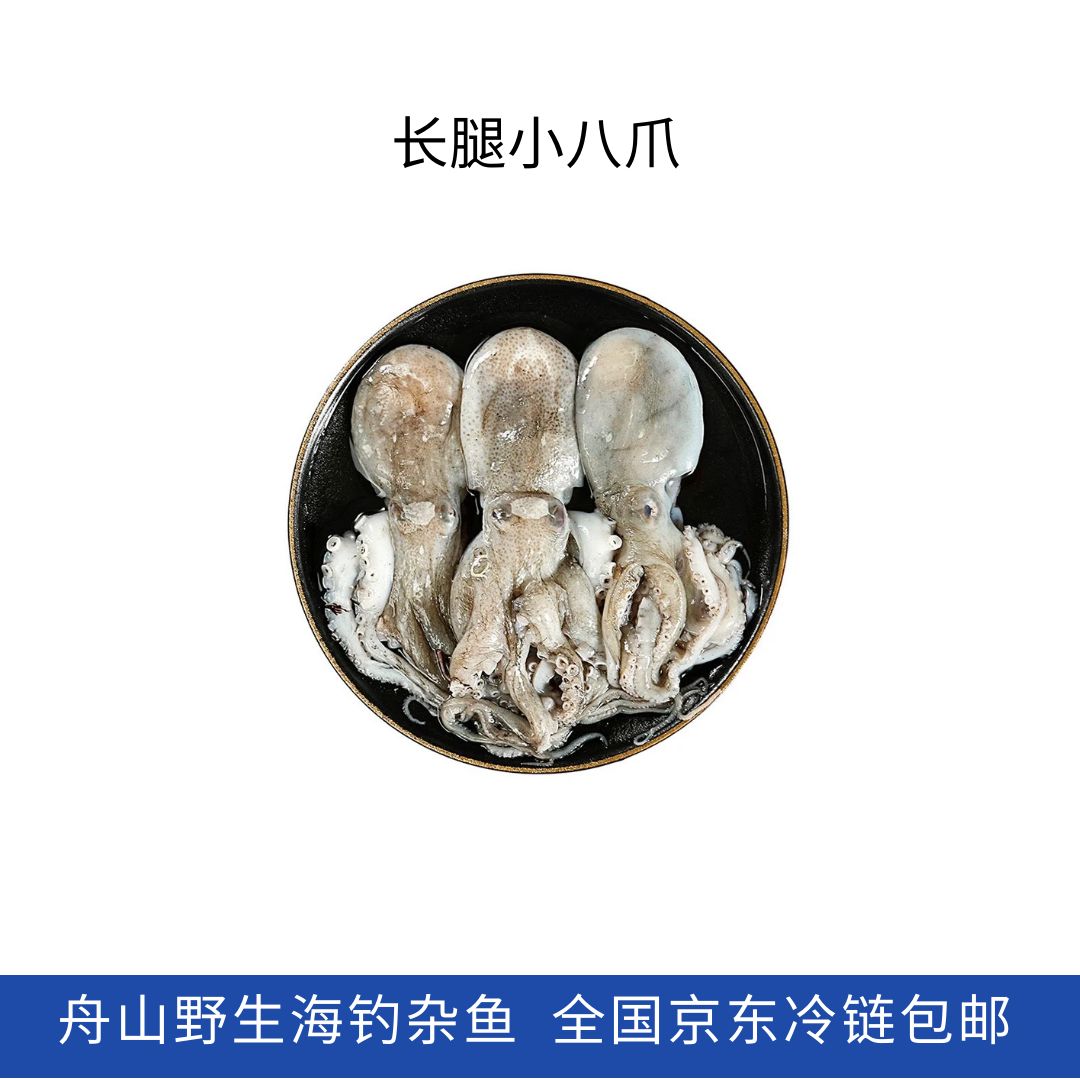 长腿小八爪舟山东海海鲜码头直发全国包邮京东冷链发货