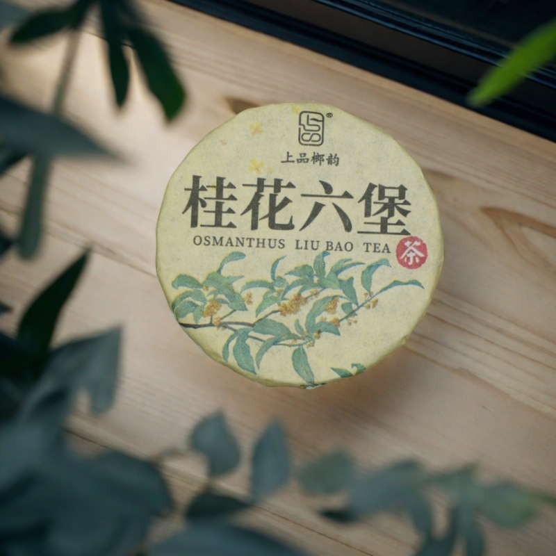 桂花六堡茶7.5g/片*10 桂花香厚滑感 2017六堡+2024桂花