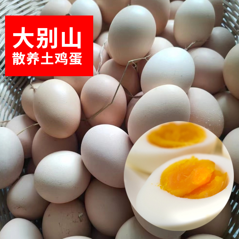 大别山金寨鲜嫩农场土鸡蛋
