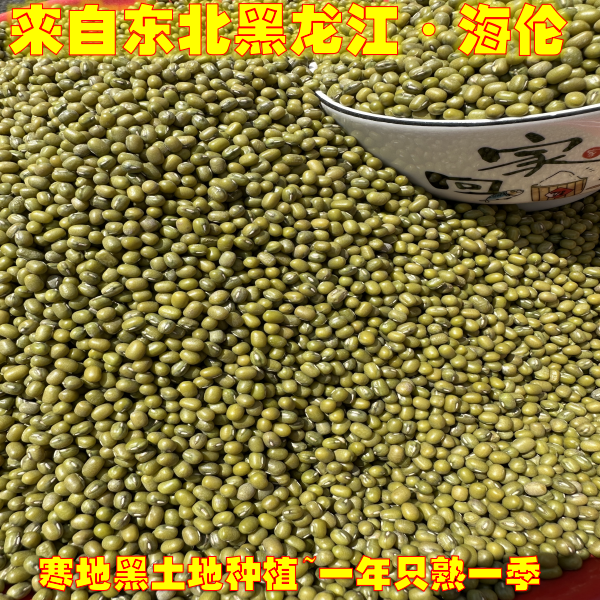2025东北绿豆新鲜农家绿豆糕绿豆汤绿豆芽绿豆粥绿豆沙黑土地种植