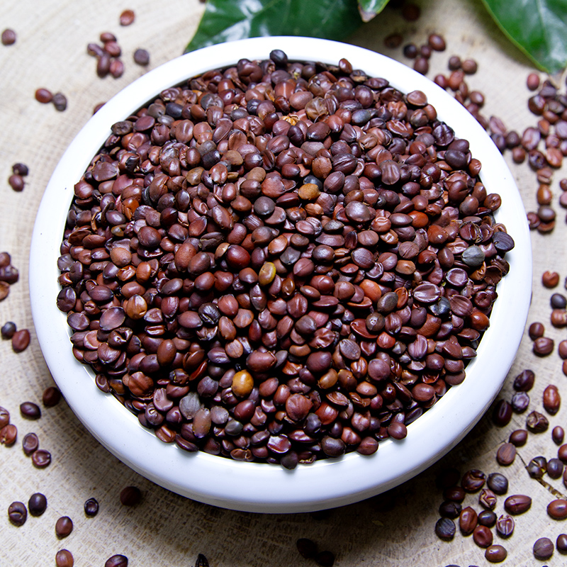 聚上阁 酸枣仁中药材生酸枣仁枣仁炒酸枣仁炒枣仁粉可打粉