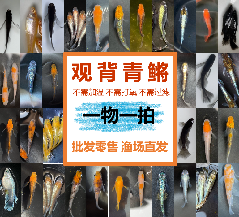 <一物一拍>对版发货