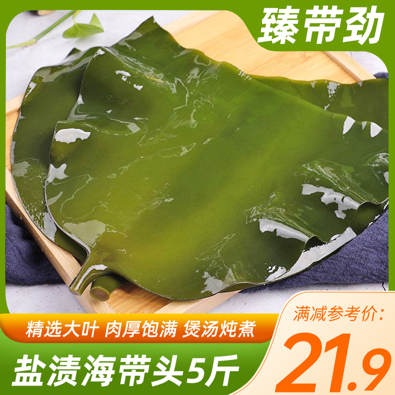 臻带劲5斤新鲜盐渍海带头厚火锅食材煲汤荣成特产海藻根丝片商用