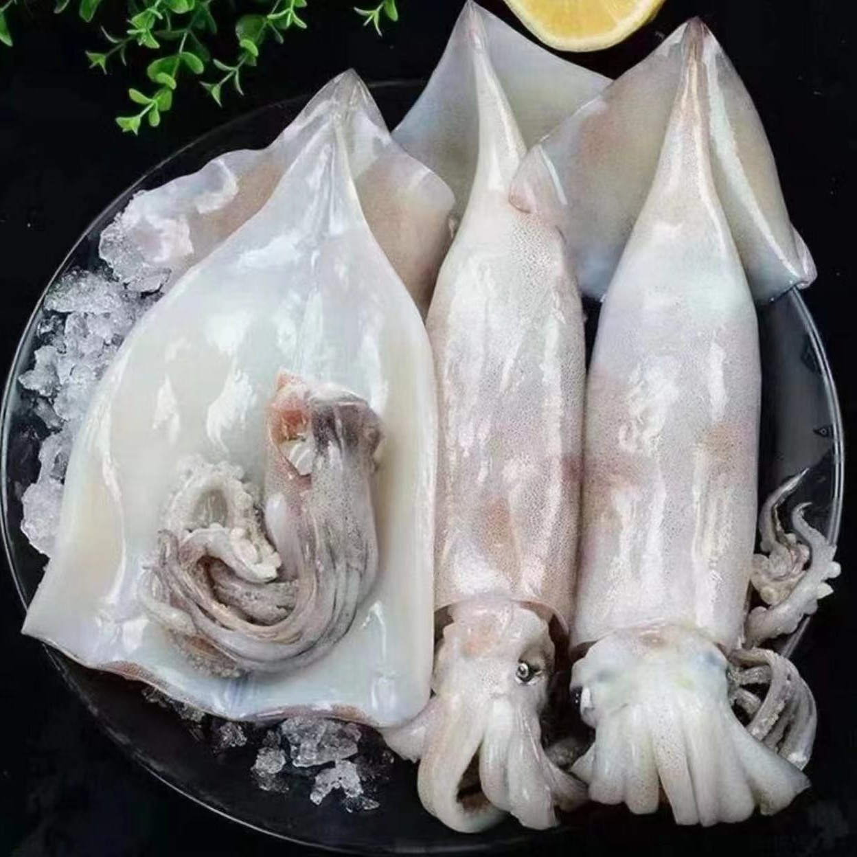 尚尚海鲜 连云港发货  到手4斤去内脏鲜活鱿鱼 3-5条发货