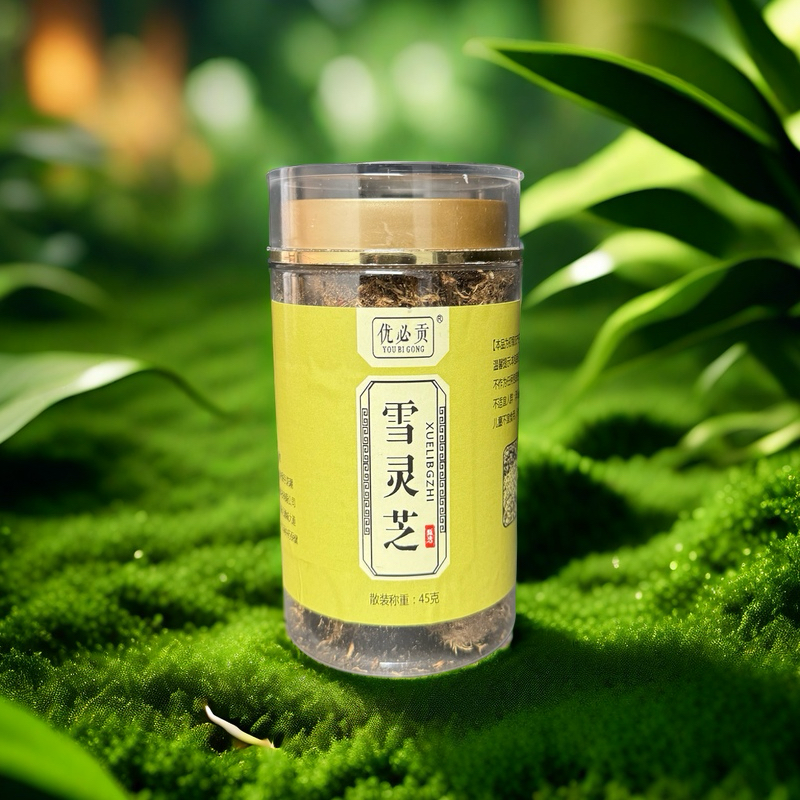 【千寻】滋补雪灵芝    