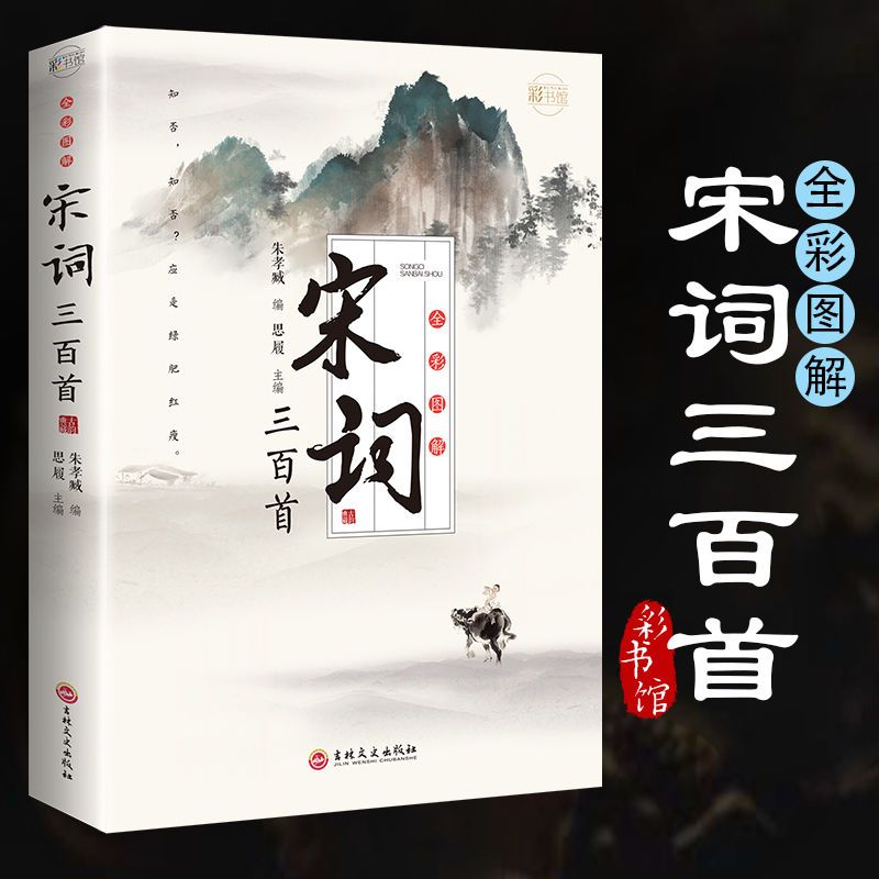 宋词三百首正版大全集 赏析全解原文译文注释中国古诗词点评注释