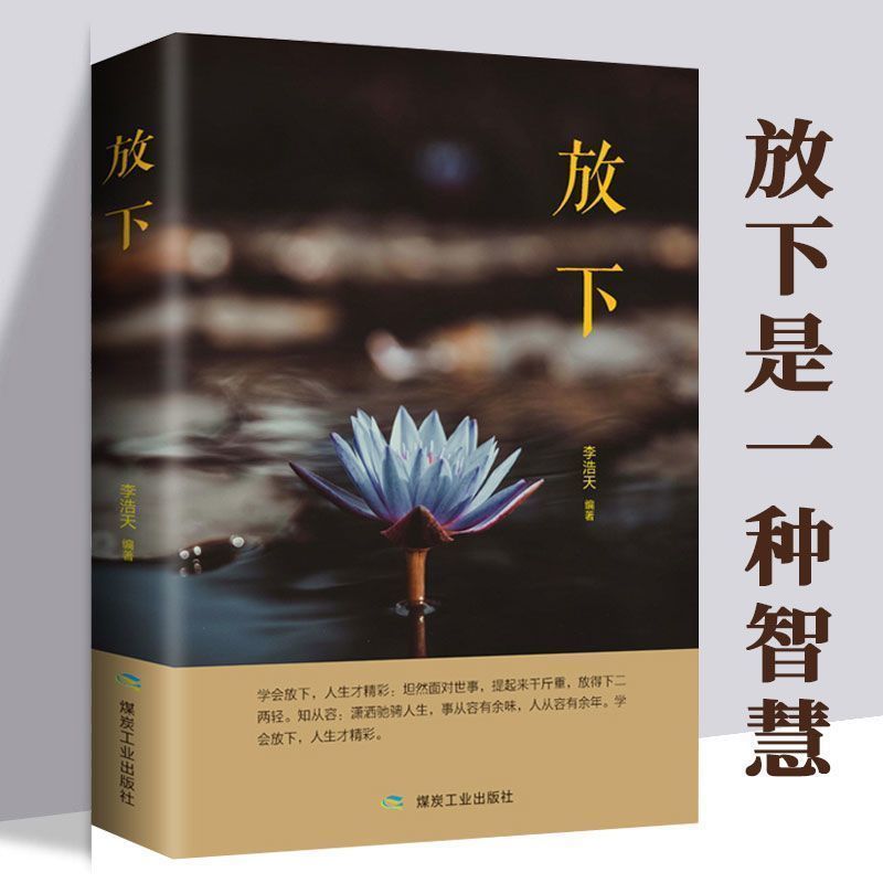 放下书籍正版人生很短聪明选择治愈系励志人生书籍心灵修养佛书