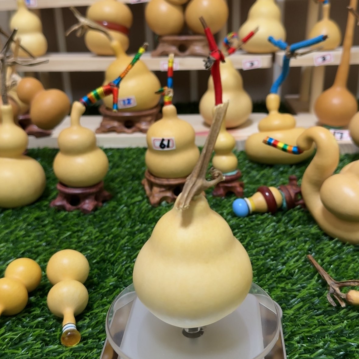 【闪购商品】天然葫芦再***程